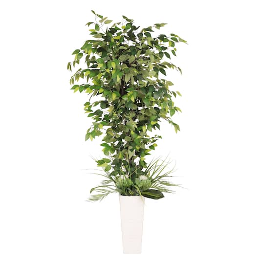 6ft. Artificial Ficus Microcarpa Tree in White Decorative Pot